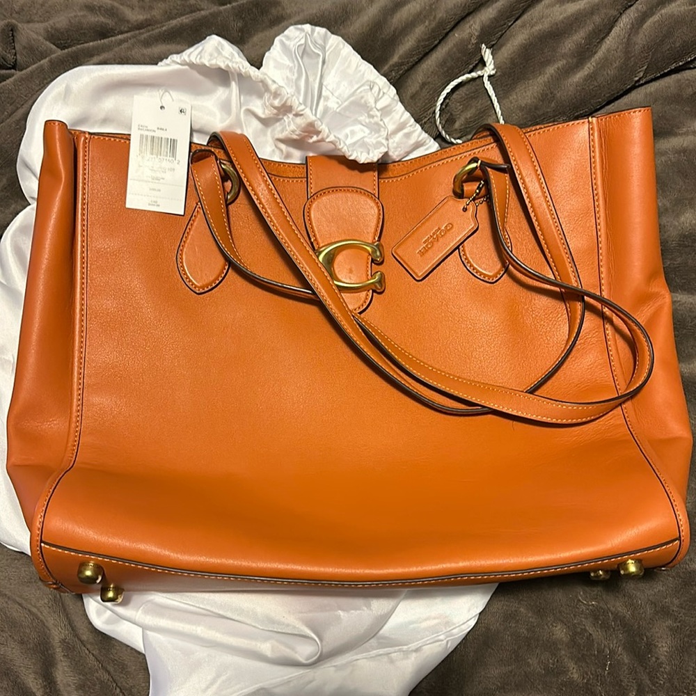 Coach Theo Tote